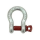 Hire 1 Ton Bow Shackle.